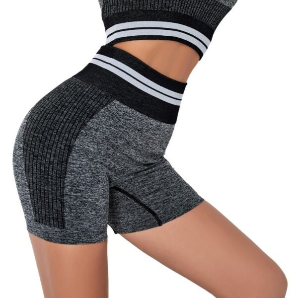 Sports Fitness Shorts