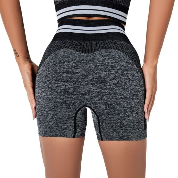 Sports Fitness Shorts